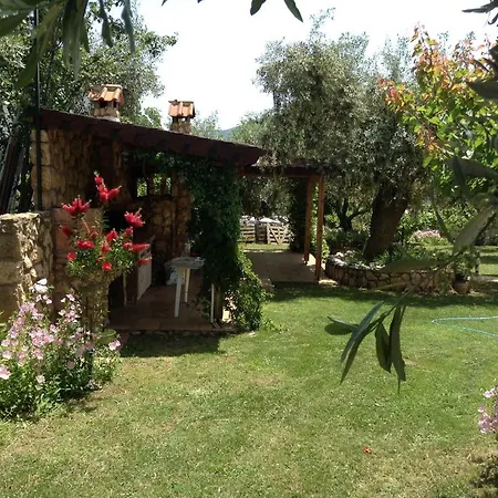 House Christie Holiday home Chrysi Ammoudia